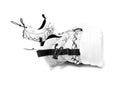Release Information: 002 Low by John Geiger 'White Marble'