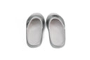 Chrome Geiger Slides
