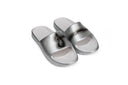 Chrome Geiger Slides