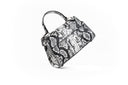 Medium Natural Python Lowercase Flap Bag